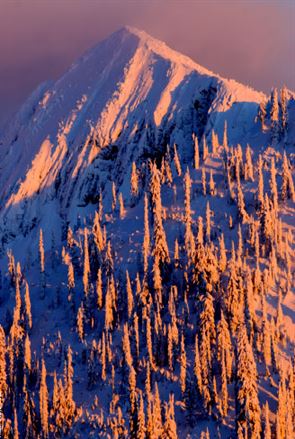 Ymir Peak, photo by Steve Ogle