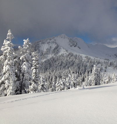 Garibaldi Provincial Park