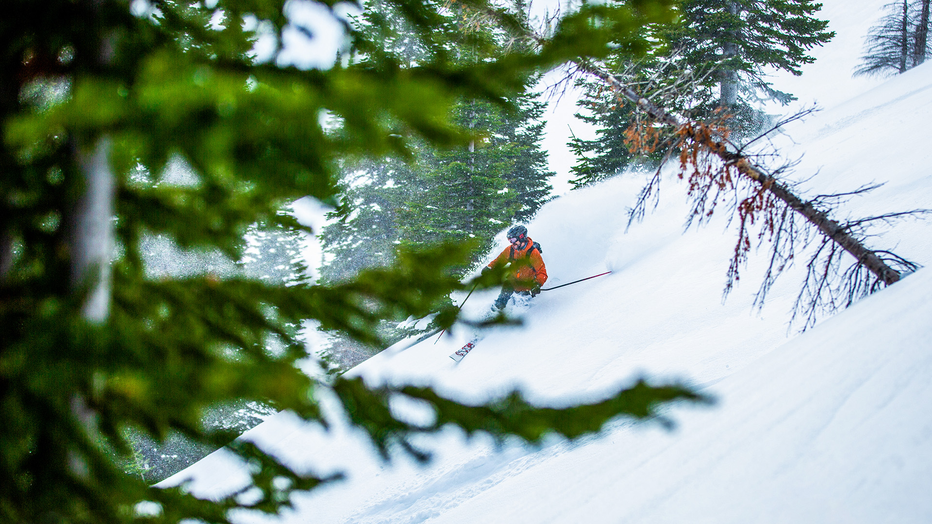 Skier at CASTLE MOUNTAIN