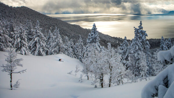 Skier floats through deep powder snow in Solitude Canyon at Diamond Peak Ski Resort, Nevada.