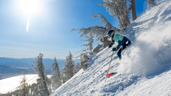 Skier makes fresh powder turns down a steep slope at Mt. Rose Ski Tahoe, Nevada.