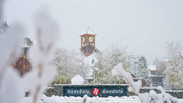 Skier descends a tree-lined slope with panoramic views of Lake Tahoe at Heavenly Mountain Resort, Nevada.