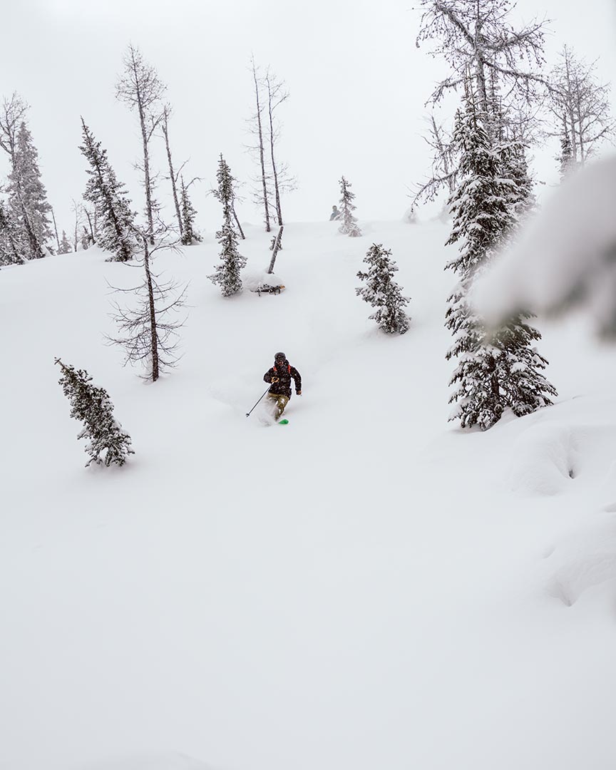 skier skiing deep powder
